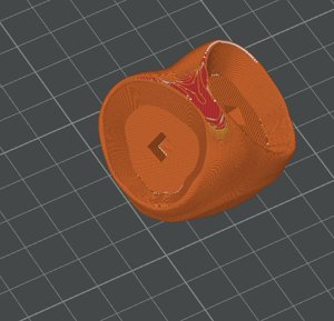 extracted_Plate 4.png