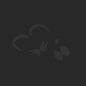 extracted_plate_no_light_4_17.png