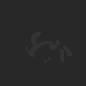 extracted_plate_no_light_5_20.png