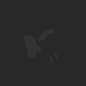extracted_plate_no_light_3_24.png