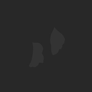 extracted_plate_no_light_7_15.png