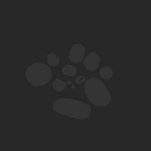 extracted_plate_no_light_3_29.png