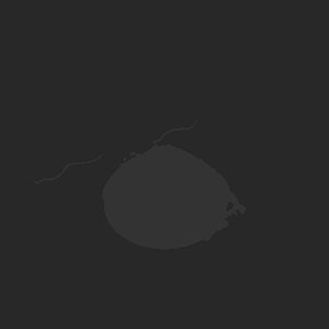 extracted_plate_no_light_5_35.png