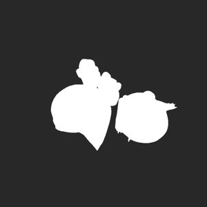 extracted_plate_no_light_1_56.png