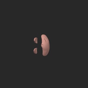 extracted_top_5_51.png