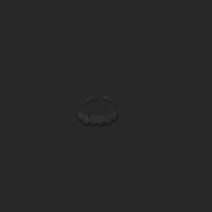 extracted_top_1_60.png