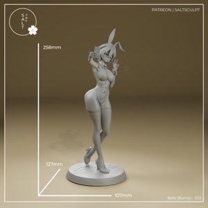 extracted_Belle_Scale.png