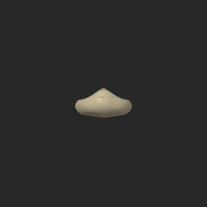 extracted_top_5_66.png