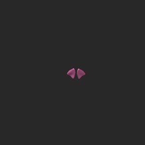 extracted_top_8_17.png