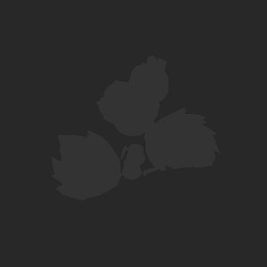 extracted_plate_no_light_1_73.png
