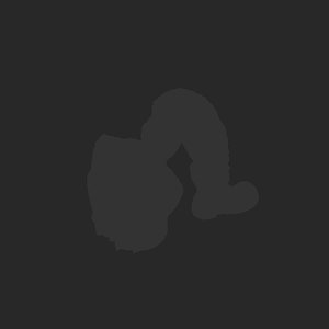extracted_plate_no_light_1.png