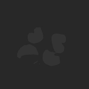 extracted_plate_no_light_2.png