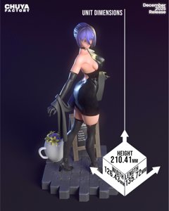 extracted_Reze Dimensions.png