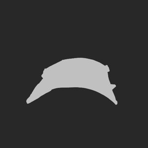 extracted_plate_no_light_4.png