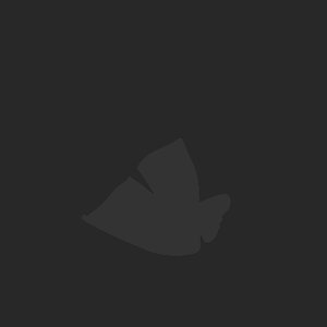 extracted_plate_no_light_7.png