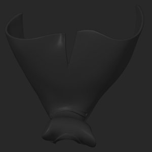extracted_top_7.png