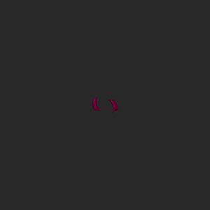 extracted_top_5_2.png
