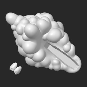 extracted_top_1.png