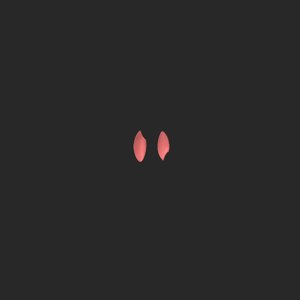 extracted_top_11.png