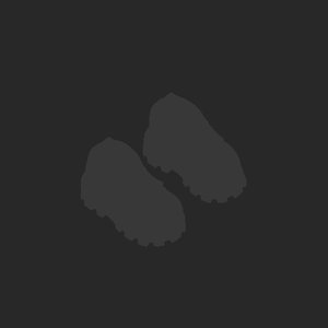 extracted_plate_no_light_5_2.png