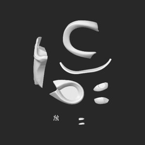 extracted_top_6_2.png