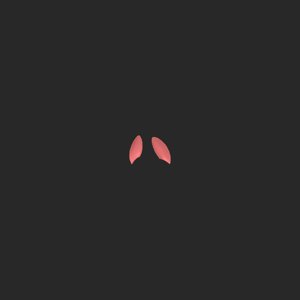 extracted_top_11_1.png