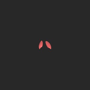 extracted_top_11_2.png