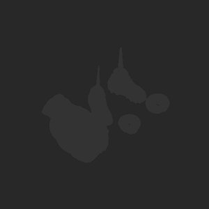 extracted_plate_no_light_6.png