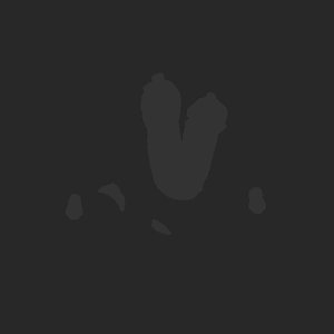 extracted_plate_no_light_4.png