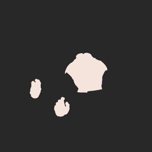 extracted_plate_no_light_5.png