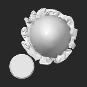 extracted_top_1.png