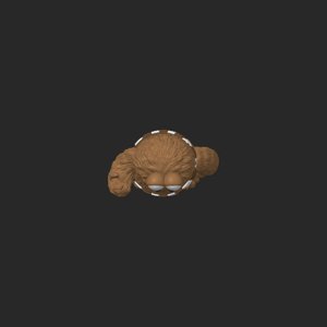 extracted_top_1.png