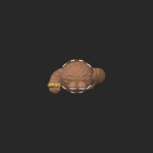 extracted_top_1_4.png