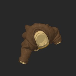 extracted_top_1_1.png