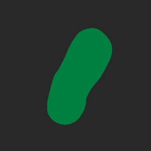 extracted_plate_no_light_1.png