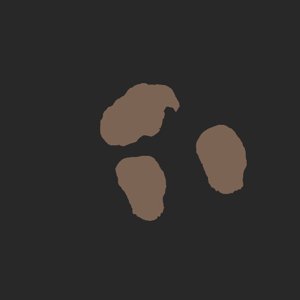 extracted_plate_no_light_5.png