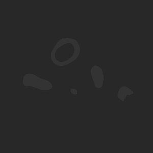 extracted_plate_no_light_7.png