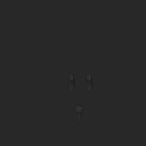 extracted_top_1.png