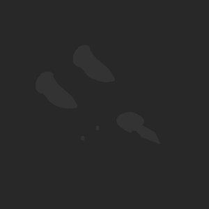 extracted_plate_no_light_1.png