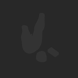 extracted_plate_no_light_2.png