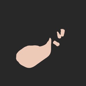 extracted_plate_no_light_4.png