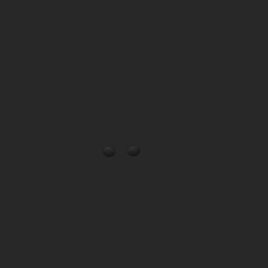 extracted_top_1.png