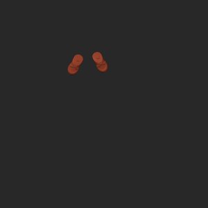 extracted_top_4.png