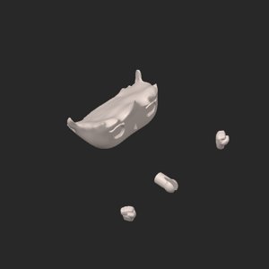 extracted_plate_2.png