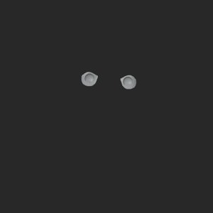 extracted_top_4.png