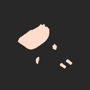 extracted_plate_no_light_1.png