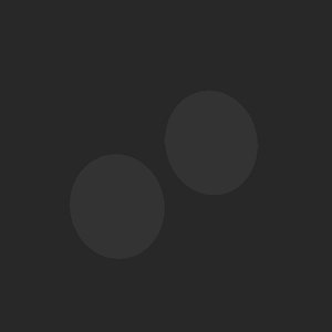 extracted_plate_no_light_2.png