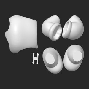 extracted_top_4.png