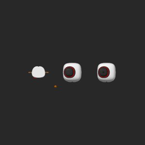 extracted_top_1.png