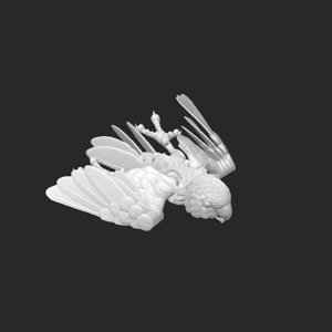 extracted_plate_1_1.png